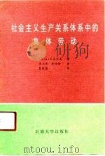 社会主义生产关系体系中的集体劳动   1991  PDF电子版封面  756360152X  （苏）达尔宾著；王文杰，许桂如译 