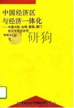 中国经济区与经济一体化  中国大陆、台湾、香港、澳门经济发展与合作（1995 PDF版）