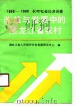 改革与发展中的黑龙江省农村  1988-1989年农村社会经济调查（1990 PDF版）
