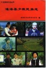 通海县少数民族志（1994 PDF版）
