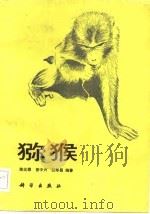 猕猴   1985  PDF电子版封面  13031·3023  陈元霖等编著 