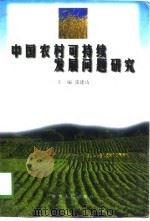 中国农村可持续发展问题研究（1998 PDF版）