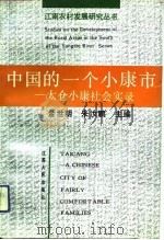 中国的一个小康市  太仓小康社会实录   1993  PDF电子版封面  7214011441  金世明，朱汝鹏主编 