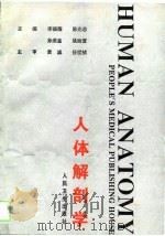 人体解剖学   1994  PDF电子版封面  711702089X  李福耀等主编 