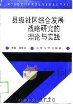 县级社区综合发展战略研究的理论与实践   1994  PDF电子版封面  756071319X  杨俊启主编 