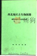 西北地区古生物图册  新疆维吾尔自治区分册  3  中、新生代部分（1984 PDF版）