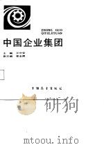 中国企业集团（1988 PDF版）