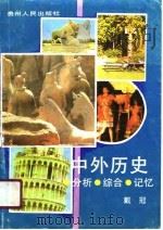 中外历史·分析·综合·记忆（1990 PDF版）