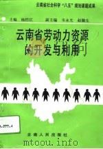 云南省劳动力资源的开发与利用（1994 PDF版）