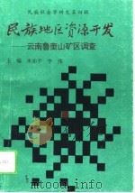 民族地区资源开发  云南鲁奎山矿区调查   1993  PDF电子版封面  7810252909  朱赤平，李伟主编 