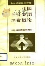 中国社会集团消费概论（1991 PDF版）