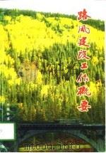 路风建设工作概要   1998  PDF电子版封面  7113029264  刘贵学主编 