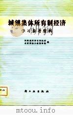 城镇集体所有制经济学习参考资料   1981  PDF电子版封面    城镇集体所有制经济政策调查小组资料组编 