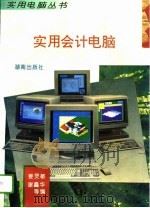 实用会计电脑   1994  PDF电子版封面  7543807815  姜灵敏，谢鑫华编著 