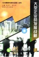 大型企业的发展战略  上   1998  PDF电子版封面  7560412831  张学仁，刘景礼 