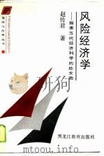 风险经济学  探索当代经济科学的处女地   1989  PDF电子版封面  7531608871  赵传君著 