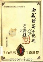 西藏短篇小说选   1984  PDF电子版封面     