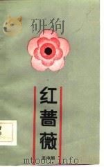 红蔷薇   1984  PDF电子版封面  10105·43  王中朝编著 