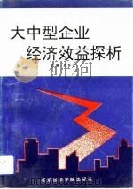 大中型企业经济效益探析   1991  PDF电子版封面  7563802606  赵怀让主编 