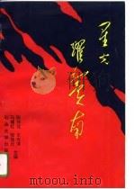 星光耀冀南（1994 PDF版）