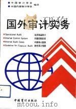 国外审计实务（1992 PDF版）