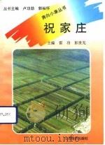 祝家庄   1992  PDF电子版封面  7805773297  雷功，彭世先主编 