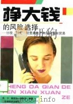 挣大钱的风险选择  炒股、炒汇、经营房地产和民间国际贸易（1994 PDF版）