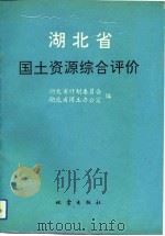 湖北省国土资源综合评价  行业部分（1992 PDF版）