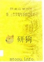 黑龙江省东部中、上侏罗统与下白垩统化石  上   1983  PDF电子版封面  13217·055  黑龙江省东部中生代含煤地层研究队著 