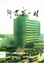 沂蒙第一村  临沂西关发展史（1993 PDF版）