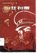 惊险产学幻想系列小说·4·  如梦初醒   1983  PDF电子版封面    叶永烈 