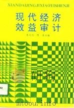 现代经济效益审计   1993  PDF电子版封面  7504416711  李凤鸣，陈东主编 