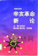 辛亥革命新论   1996  PDF电子版封面  7543812665  刘泱泱主编 