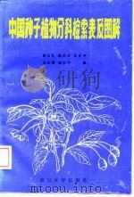 中国种子植物分科检索表及图解   1988  PDF电子版封面  7305002305  耿以礼等编 