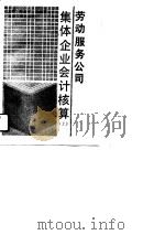 劳动服务公司集体企业会计核算   1990  PDF电子版封面  7805085757  王金祥，刘佰军主编 