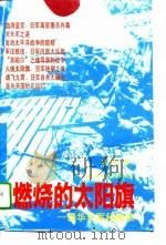 燃烧的太阳旗  侵华日军秘闻录（1995 PDF版）