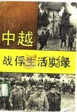 中越战俘生活实录   1991  PDF电子版封面  7531305569  史文银著 