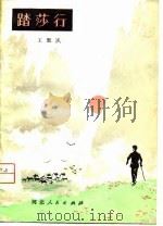 踏莎行   1980  PDF电子版封面  10086·533  王默风著 