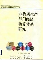 非物质生产部门经济核算体系研究   1991  PDF电子版封面  7560504744  陕西省经济学学会省统计局非物质生产部门经济核算体系课题研究组 