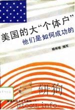 美国的大“个体户”  他们是如何成功的   1993  PDF电子版封面  7537204446  晓彬等编写 