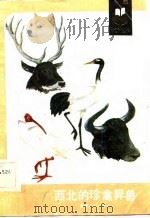 西北的珍禽异兽   1986  PDF电子版封面  13097·64  中国科学院西北高原生物研究所动物研究室，青海省野生动物资源管 