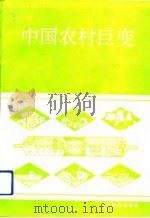 中国农村巨变   1992  PDF电子版封面  7805774927  何焕炎主编 