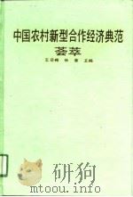 中国农村新型合作经济典范荟萃（1992 PDF版）