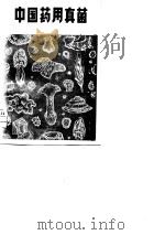 中国药用真菌   1978  PDF电子版封面  14088·56  刘波著 