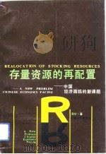 存量资源的再配置  中国经济面临的新课题   1992  PDF电子版封面  7222011005  宋宁著 