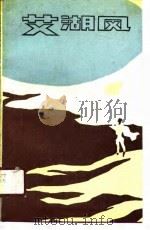 艾湖风   1989  PDF电子版封面    东虹 