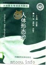 人体形态学   1995  PDF电子版封面  7810480227  凌怀本，刘桂平主编 