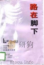 路在脚下  大变革时代中国人的境遇和选择   1998  PDF电子版封面  7220042604  何贞斌编著 