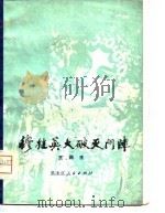 穆桂英大破天门阵   1981  PDF电子版封面    王润生 