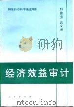 经济效益审计   1995  PDF电子版封面  7010022372  邢俊芳，吕文基著 
